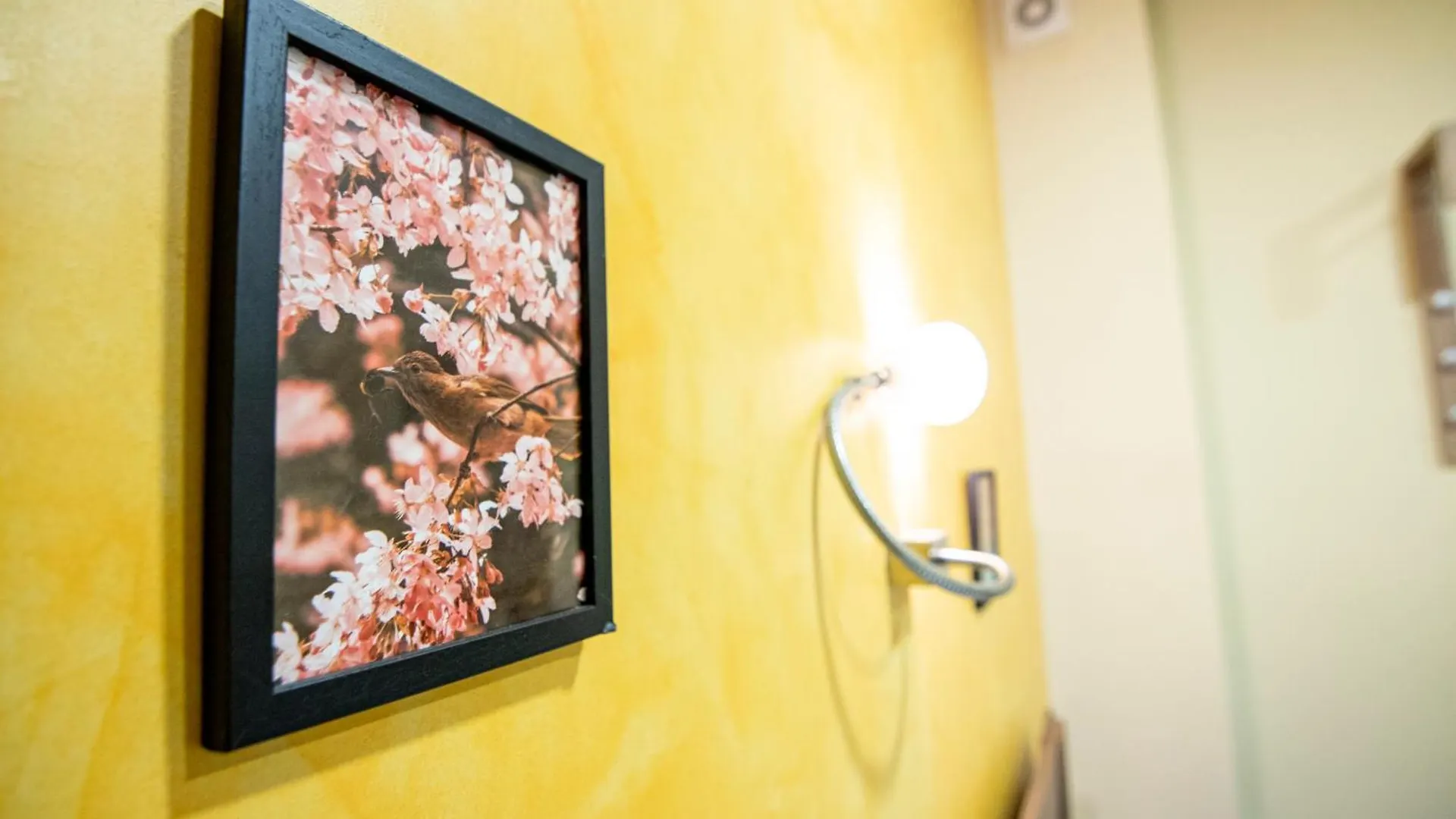 Comfort & Cozy Apartment In Sofia Center